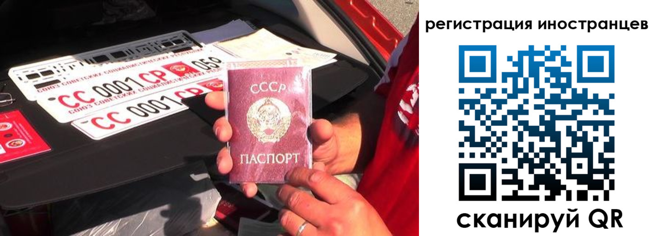 прописка гарантия в Сальске